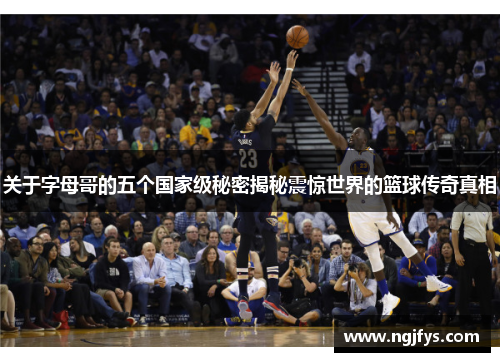 关于字母哥的五个国家级秘密揭秘震惊世界的篮球传奇真相
