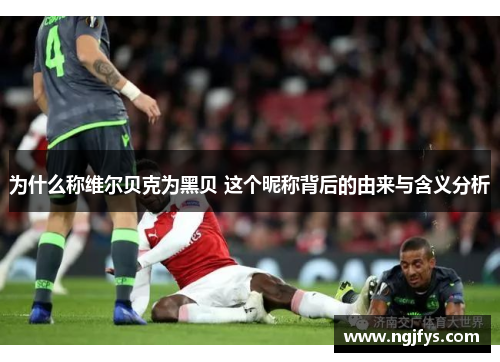 为什么称维尔贝克为黑贝 这个昵称背后的由来与含义分析